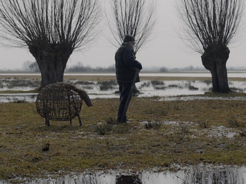 Kadras iš Algimanto Puipos filmo „Kita tylos pusė“