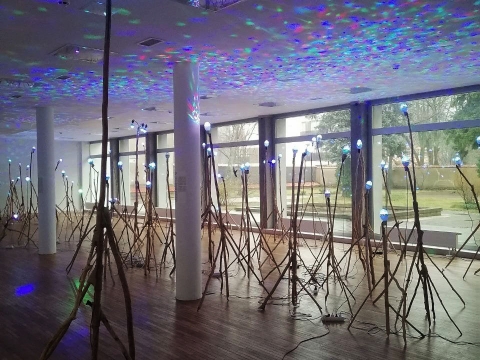 Tomo Daukšos instaliacijos „Laimės švieselės“ fragmentas. Autorės nuotr.