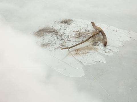 Laure Prouvost, „Būdas tekėti, laižyti, tekėti“. 2016 m. A. Vasilenko nuotr.