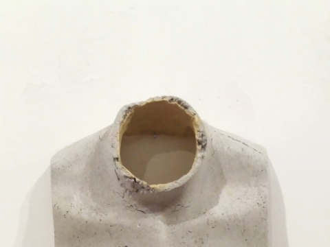 Andrius Erminas, „Savas kūnas", 2016, nuotr. D. Žuklytės