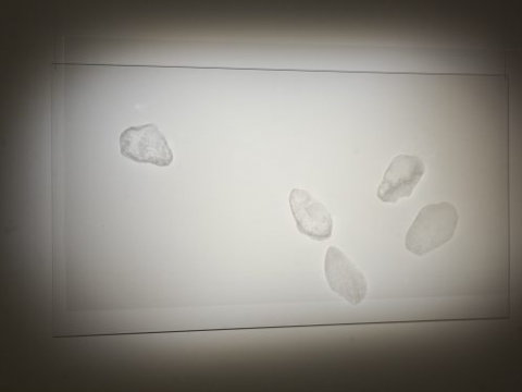 Linas Blažiūnas, parodos „Dvi su puse“ fragmentas, nuotr. galerijos „AV17"