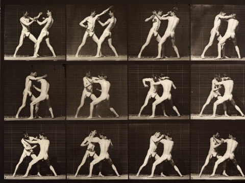 Boksininkas iš Eadweardo J. Muybridge'o fotografijų kolekcijos