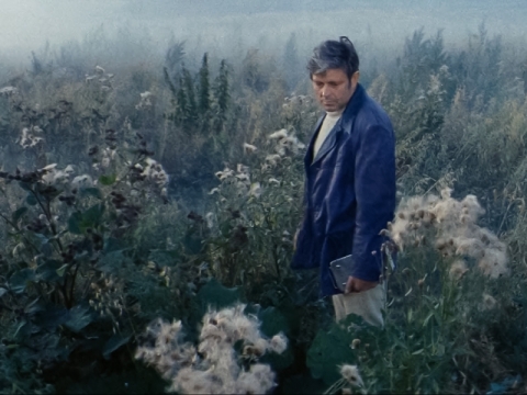 Kadras iš Andrejaus Tarkovskio filmo „Soliaris“