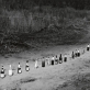 Rimaldas Vikšraitis, „Kelio pabaiga“. 1995 m.
