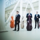 „Polish Cello Quartet“. L. Rajcherto nuotr. 