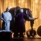 Scena iš spektaklio „Ein Elefant“. D. Matvejevo nuotr.