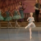Jade Isabella Longley balete „Don Kichotas“. M. Aleksos nuotr.