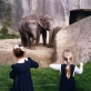 Dorothy Bohm, „Vincennes zoologijos sodai“. 1980 m. Iš Dorothy Bohm archyvo.