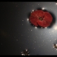 Amar Kanwar, „The Peacock's Graveyard“, videoinstaliacijos kadras. 2023 m. „Marian Goodman Gallery“ nuotr.