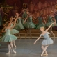 Jade Isabella Longley balete „Don Kichotas“. M. Aleksos nuotr.