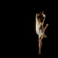 Scena iš šokio kompozicijos „Leliumoi“. M. Aleksos nuotr.