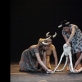 Scena iš spektaklio „Juodas pienas“. G. Mālderio nuotr.