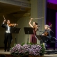 „Paganini Ensemble Vienna“ koncerto akimirka. D. Matvejevo nuotr.