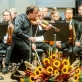 Sergejus Krylovas ir Lietuvos kamerinis orkestras. D. Matvejevo nuotr.