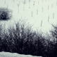 Remigijus Pačėsa, be pavadinimo, 2011-01-25