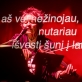 Laurie Anderson. D. Matvejevo nuotr.