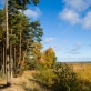 Kuršių nerija, nuotr. M. Medišausko, šaltinis: flickr.com