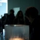 Darius Žiūra, „SWIM“ ekspozicijos fragmentas. V. Berlickaitės nuotr.