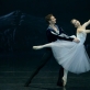 Genadijus Žukovskis ir Julija Stankevičiūtė balete „Žizel“. M. Aleksos nuotr.