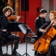 „Trio Rinaldo“. M.Mikulėno nuotr.