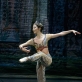 Haruka Ohno balete „Korsaras“. M. Aleksos nuotr.