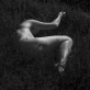 Simona Žutautaitė, „You Are Poetry“. 2021–2024 m.