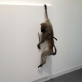 Javier Tellez, „Nei daugiau nei mažiau“. 2013 m. Autorės nuotr.