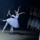 Jurgita Dronina, Francesco Gabriele Frola ir Nora Straukaitė balete „Žizel“. M. Aleksos nuotr.