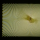 Jurga Barilaitė, „Skaičiuotė – Abrakadabra“, „Up“. 2014 m. A. Narušytės nuotr.