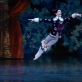 Andrea Canei balete „Čipolinas“. M. Aleksos nuotr.