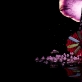 „Antipsychotic“