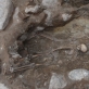 Archeologiniai tyrimai Pilies kalno aikštelėje. K. Stoškaus nuotr. Lietuvos nacionalinis muziejus