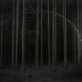 Arnas Špaka, „Bending“