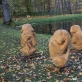 Paroda „Būvis“ Panemunės pilies parke. L. Milkintės nuotr.