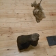 Jonas Aničas, kūrinio „Ekvilibriumas“ fragmentas. 2013 m. J. Lapienio nuotr.