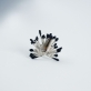 Dalius Ilginis, „Ring“