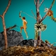 „Dancing with Dead Animals“