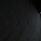 Eglė Budvytytė. Kadras iš filmo „Šuolis“ („Leap“). 2009 m.