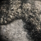 Meilė Sposmanytė, koliažas „Europos peizažai V“. 2010 m. Pienių pūkai, jūržolės, pelenai, plaukai, drobė, 105 x 85 cm