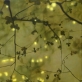 Ewelina Bluj-Kiliszek, „Shinrin-Yoku“