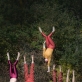 „Fauna Circus“ archyvo nuotr.