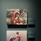 Vaizdas iš parodos  „Viskas yra šventa“ skirtos Piero Paolo Pasolini gimimo 100-mečiui. Autorės nuotr.