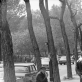 Juozas Budraitis, „Sen Mišelio bulvaras, šalia Liuksemburgo sodo“. Paryžius, 1979 m.