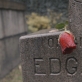 Kadras iš filmo „Nevermore“