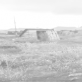Kadras iš filmo „Bogdano laimė“