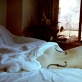 Kadras iš filmo „Lošimai, dievai ir LSD“