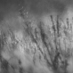 „Tikkun“