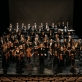 Klaipėdos valstybinio muzikinio teatro orkestras. D. Rimeikos nuotr.