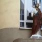 „Laiškai iš Vilkų gatvės“