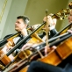 LNSO styginiai, violončelių ir kontrabosų grupės. D. Matvejevo nuotr.